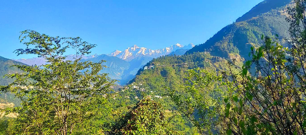 best hotels near Chopta