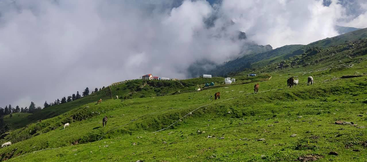 Chopta camps